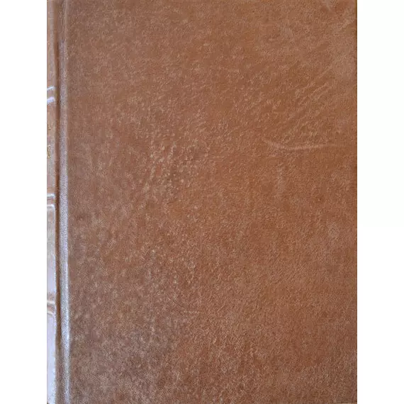 Szalkai-kódex / Szalkai Codex [hasonmás kiadás, tokkal ellátott, bőrkötésű díszes változat]