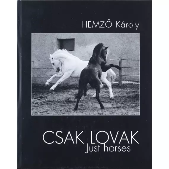 Csak lovak/Just horses